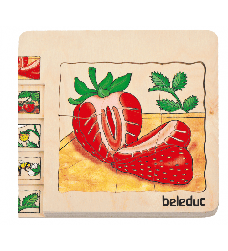 Puzzle Ciclo da Vida, O Morango, Beleduc 17040
