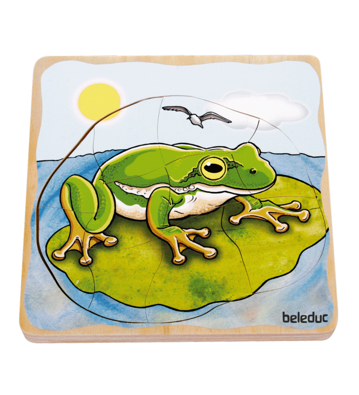 Puzzle Ciclo de Vida, a Rã, Beleduc 17053