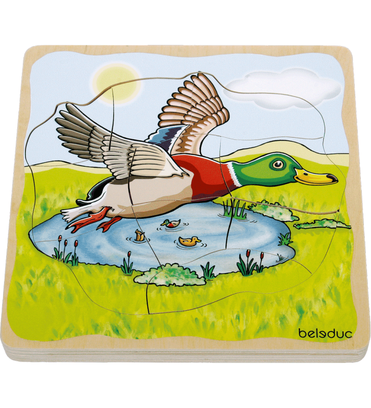 Puzzle Ciclo de Vida, o Pato, Beleduc 17055